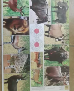 Animal Targets