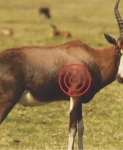 Target BLESBOK