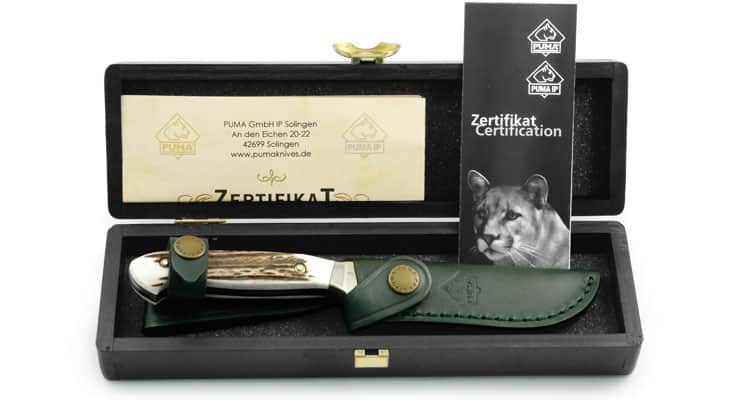 3130872_d.jpg 3130872 d