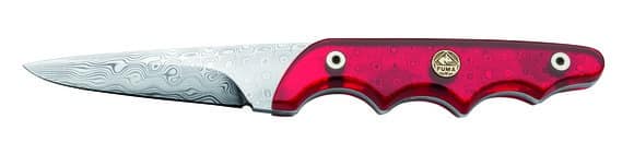 381060_1.jpg 381060 1