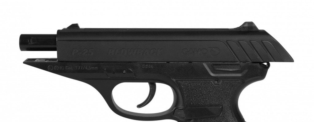 GAMO-P-25-3.jpg GAMO P 25 3