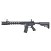 M4 SPR Interceptor