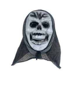 White Skull With Veil
