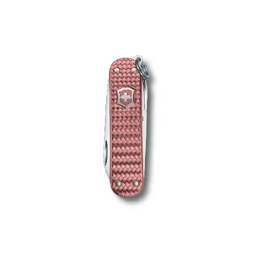 VICTORINOX-CLASSIC-V0.6221.405G-1.webp