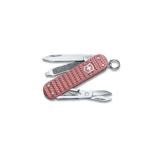 VICTORINOX-CLASSIC-V0.6221.405G.webp VICTORINOX CLASSIC