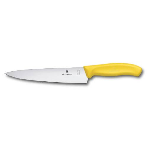 VICTORINOX-SWISS-CLASSIC-CARVING-KNIFE-V6.8006.19L8B-2.jpg