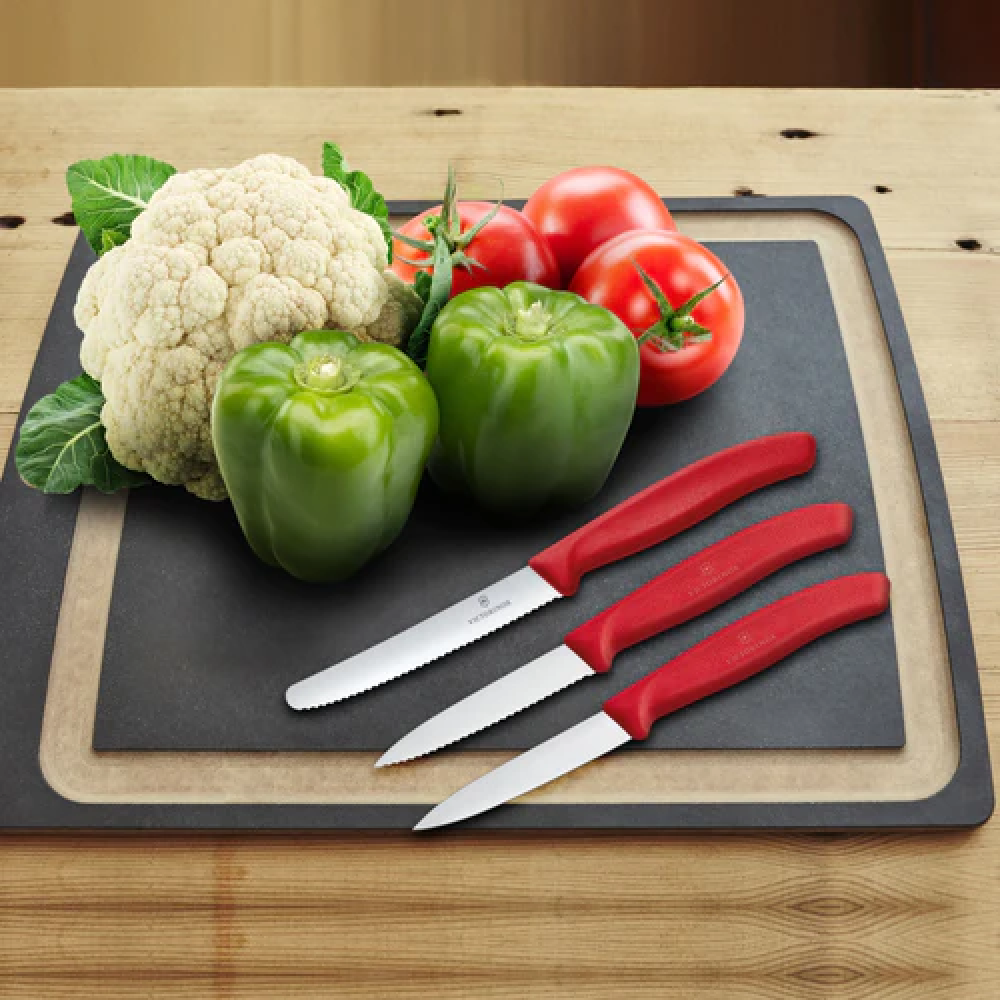 Victorinox-Swiss-Classic-3-Piece-Meat-Paring-Set-V6.7001.3M-1.webp