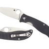 Spyderco C220GGY Polestar Knife