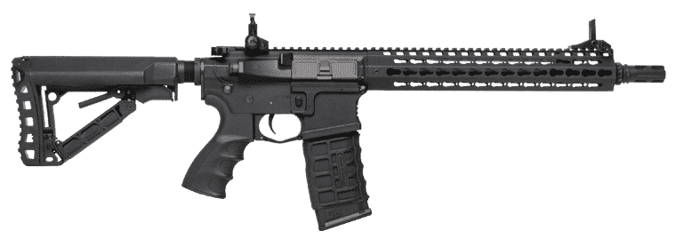 egc-16p-sxl-bnb-ncm-1.png egc 16p sxl bnb ncm 1