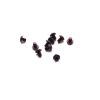 Flytanium FLY383P Body Screws for Bugout Purple