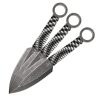 KERSHAW K1747BWX Ion 3 Piece