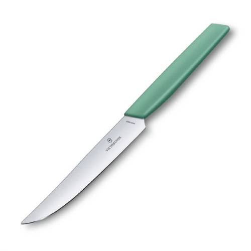v6.9006.1241.jpg Victorinox Swiss Modern Steak Knife Plain 12 cm Mint