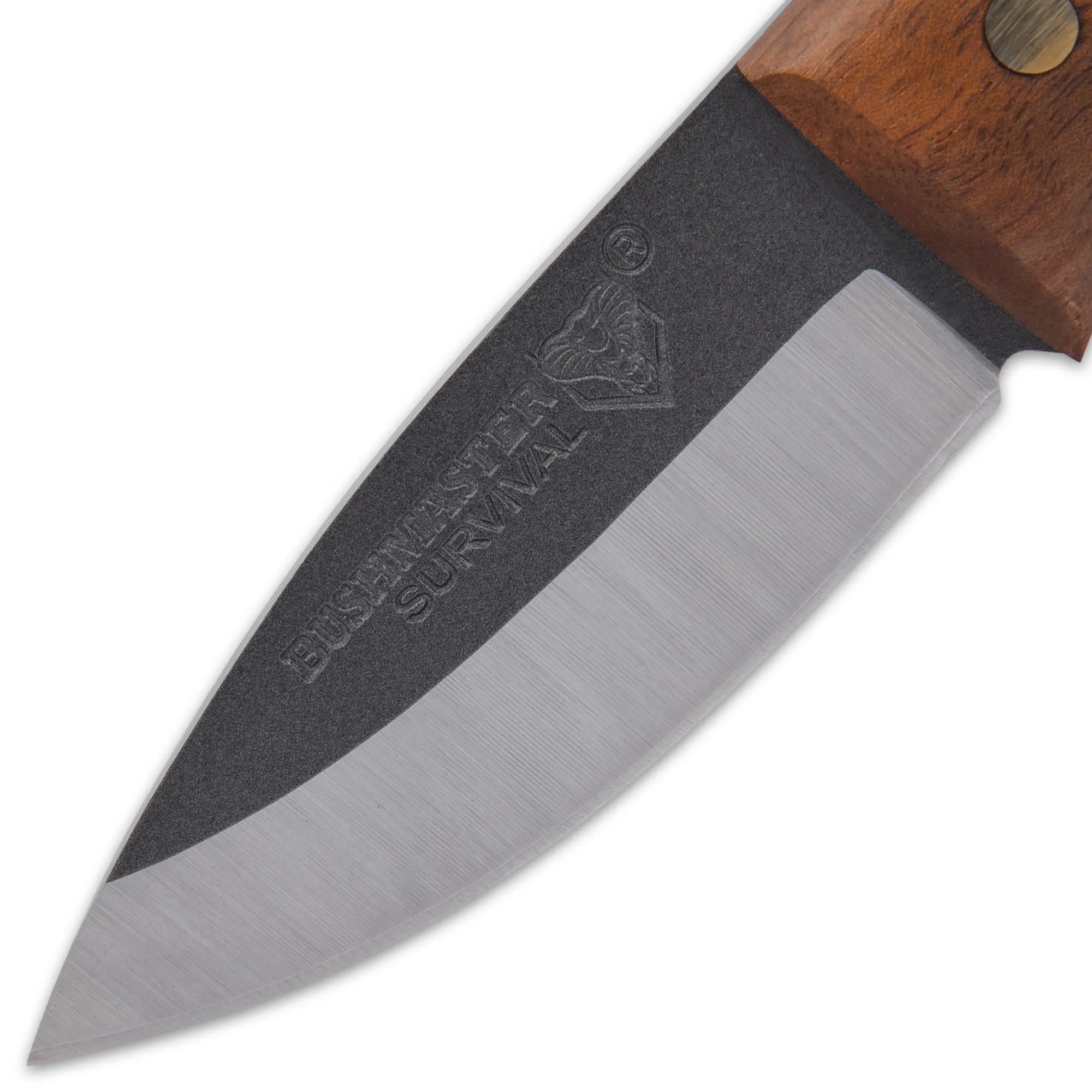 bushmaster-bantam-bushcrafter-knife-blade-detail.webp