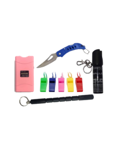 Ballistic Stun Gun Combo
