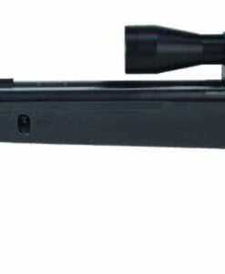 Gamo Big Cat