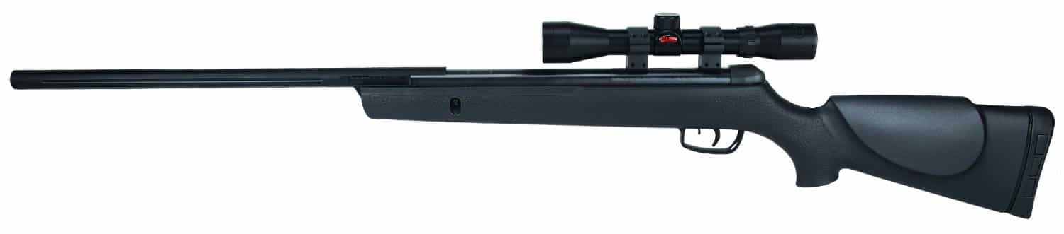 GAMO-BIG-CAT-1250.jpg Gamo Big Cat