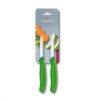 Paring Knife
