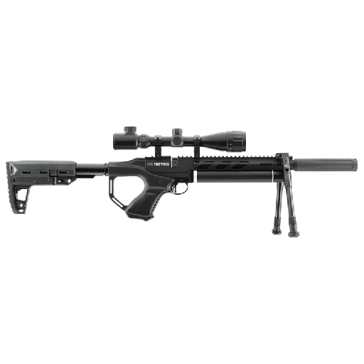notos-1.png